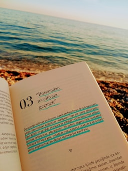 A serene seascape with gentle waves meets a rocky shoreline under a clear sky. In the foreground, a book is open to a page featuring text highlighted in blue and black, creating a contrast with the ocean view.