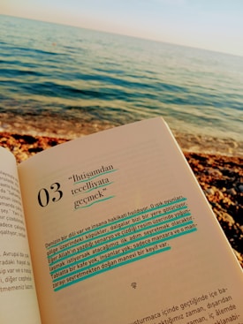 A serene seascape with gentle waves meets a rocky shoreline under a clear sky. In the foreground, a book is open to a page featuring text highlighted in blue and black, creating a contrast with the ocean view.