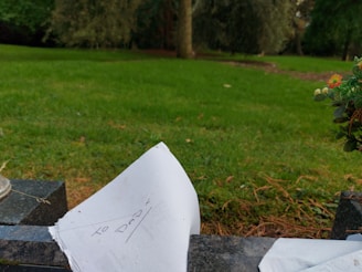An outdoor scene in a cemetery or memorial park features a grassy area with trees in the background. In the foreground, a piece of paper with the words 'To Dad' written on it is placed on a granite structure, possibly a gravestone. There is also a small plant with colorful flowers to the right.