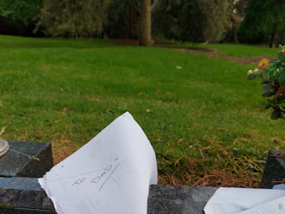 An outdoor scene in a cemetery or memorial park features a grassy area with trees in the background. In the foreground, a piece of paper with the words 'To Dad' written on it is placed on a granite structure, possibly a gravestone. There is also a small plant with colorful flowers to the right.