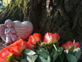 A small cherub statue sits beside a heart-shaped stone inscribed with a touching message. Bright orange-red roses are laid at the base of a tree with mossy bark, creating a serene and contemplative scene.