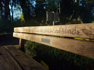 A wooden bench in a serene park setting with the words 'Forever In Our Hearts And Minds' engraved on the backrest. Sunlight filters through the trees, casting gentle shadows and illuminating the natural surroundings.