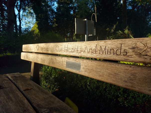 A wooden bench in a serene park setting with the words 'Forever In Our Hearts And Minds' engraved on the backrest. Sunlight filters through the trees, casting gentle shadows and illuminating the natural surroundings.