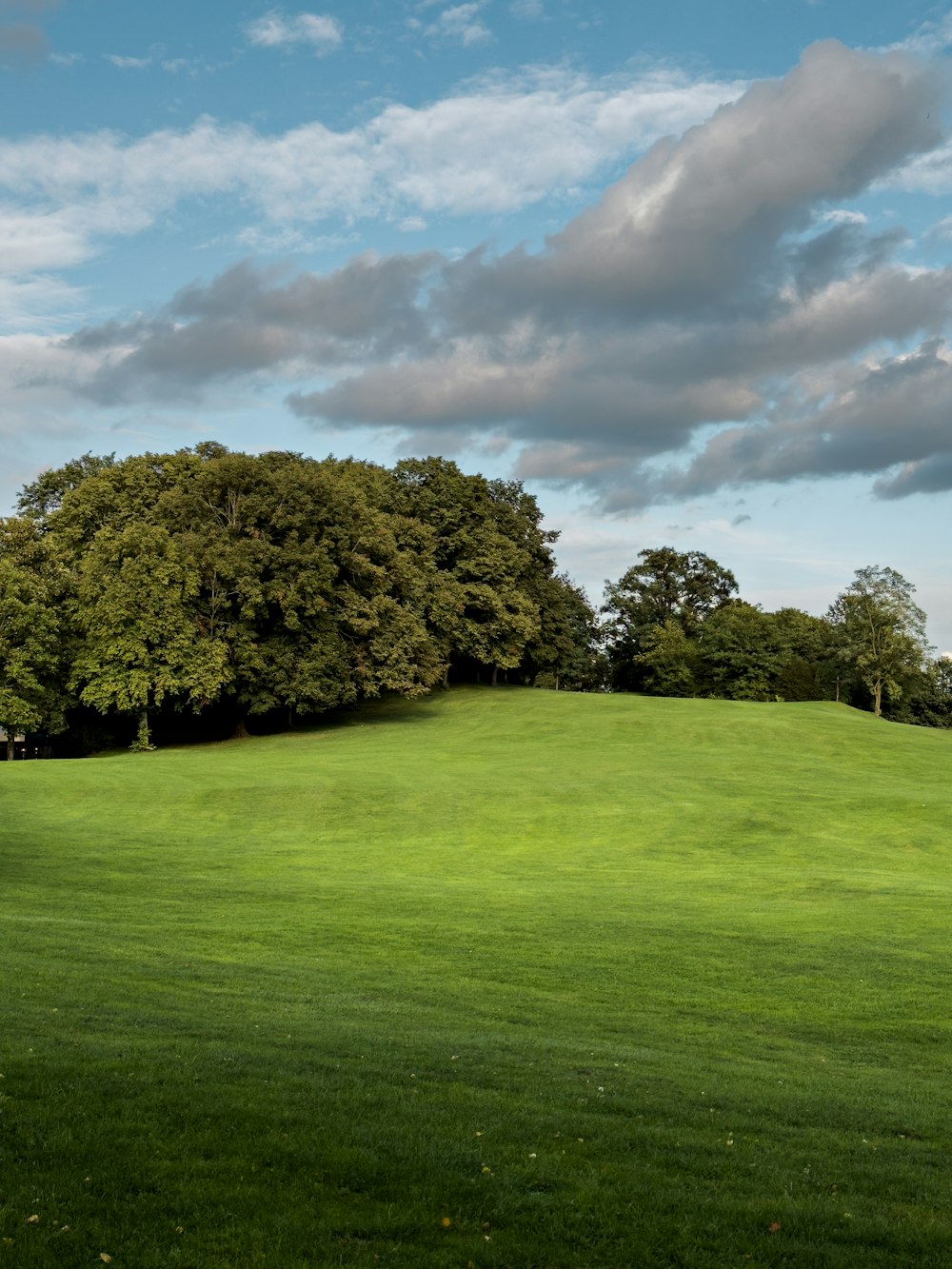 a green field with trees on the top of it