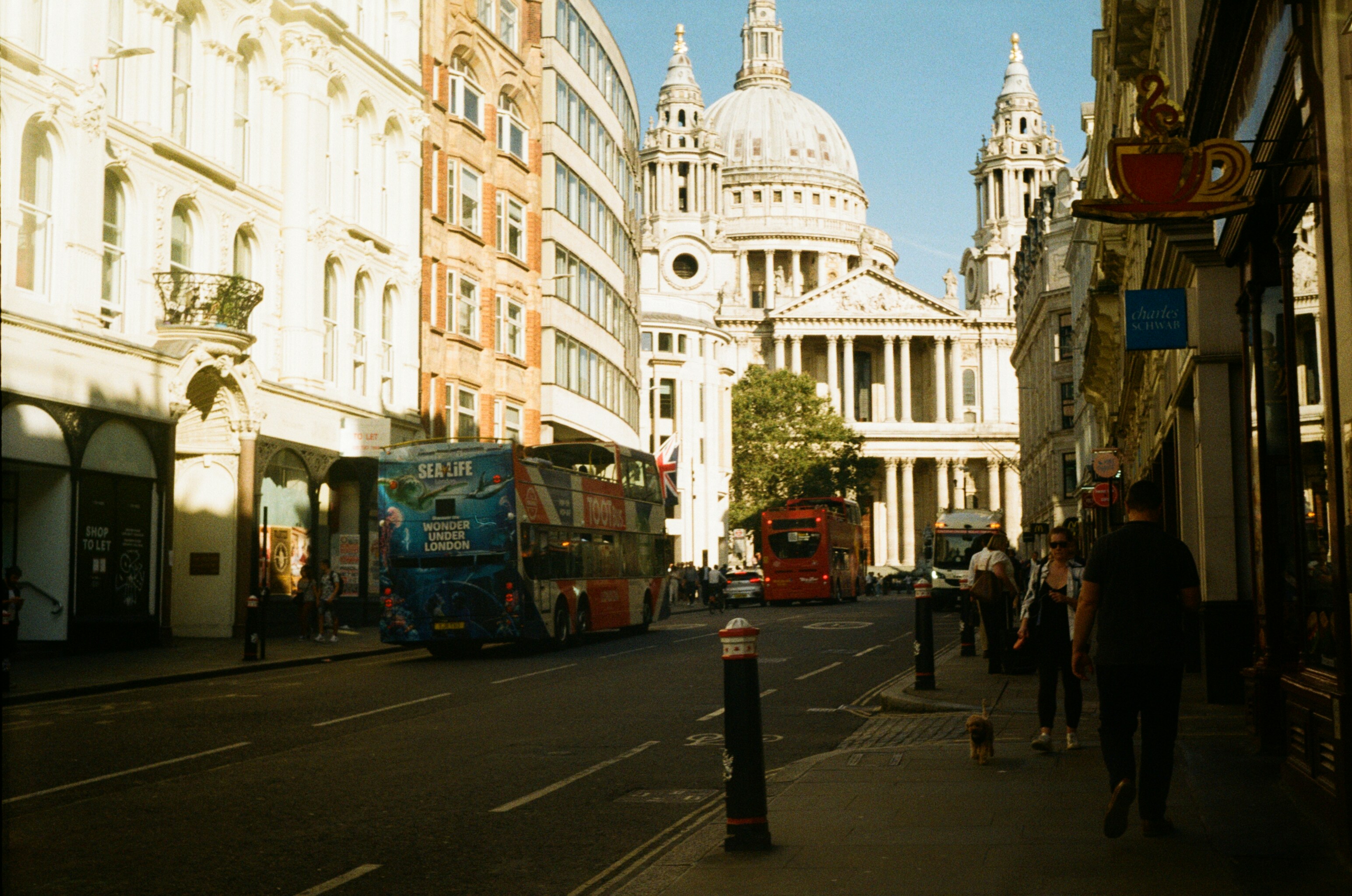 Photo by nadzeya1104