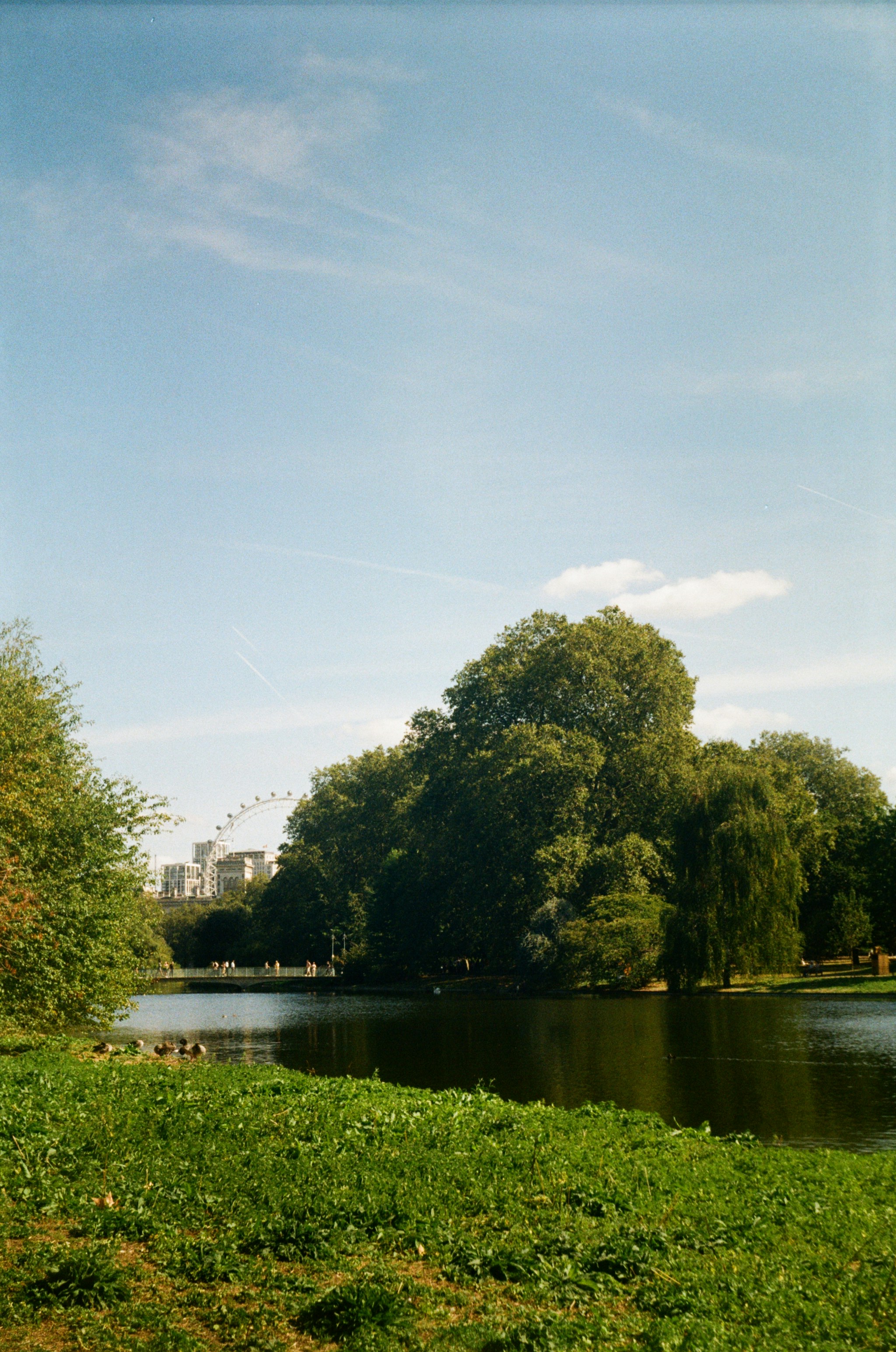 Photo by nadzeya1104