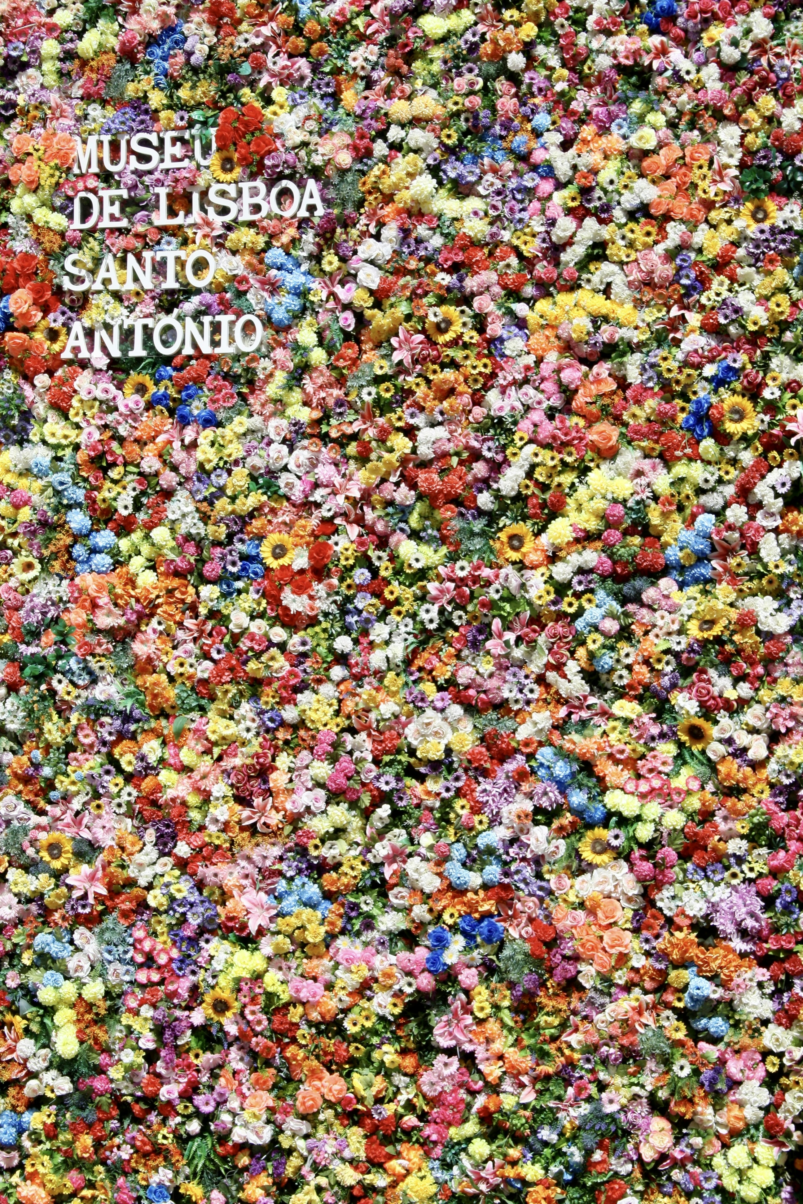 Una pared cubierta de muchas flores coloridas