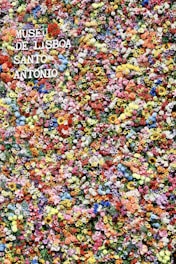 A colorful Instagram story banner featuring blooming roses and handwritten captions.