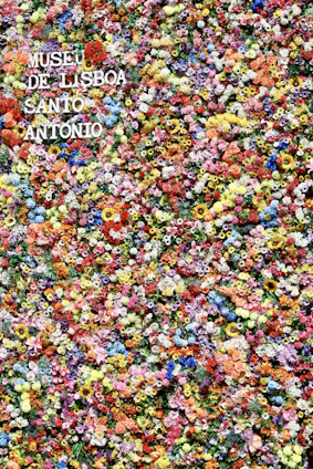 A vibrant illustration of a passport surrounded by colorful spring flowers and travel icons in red, white, blue, green, and yellow.