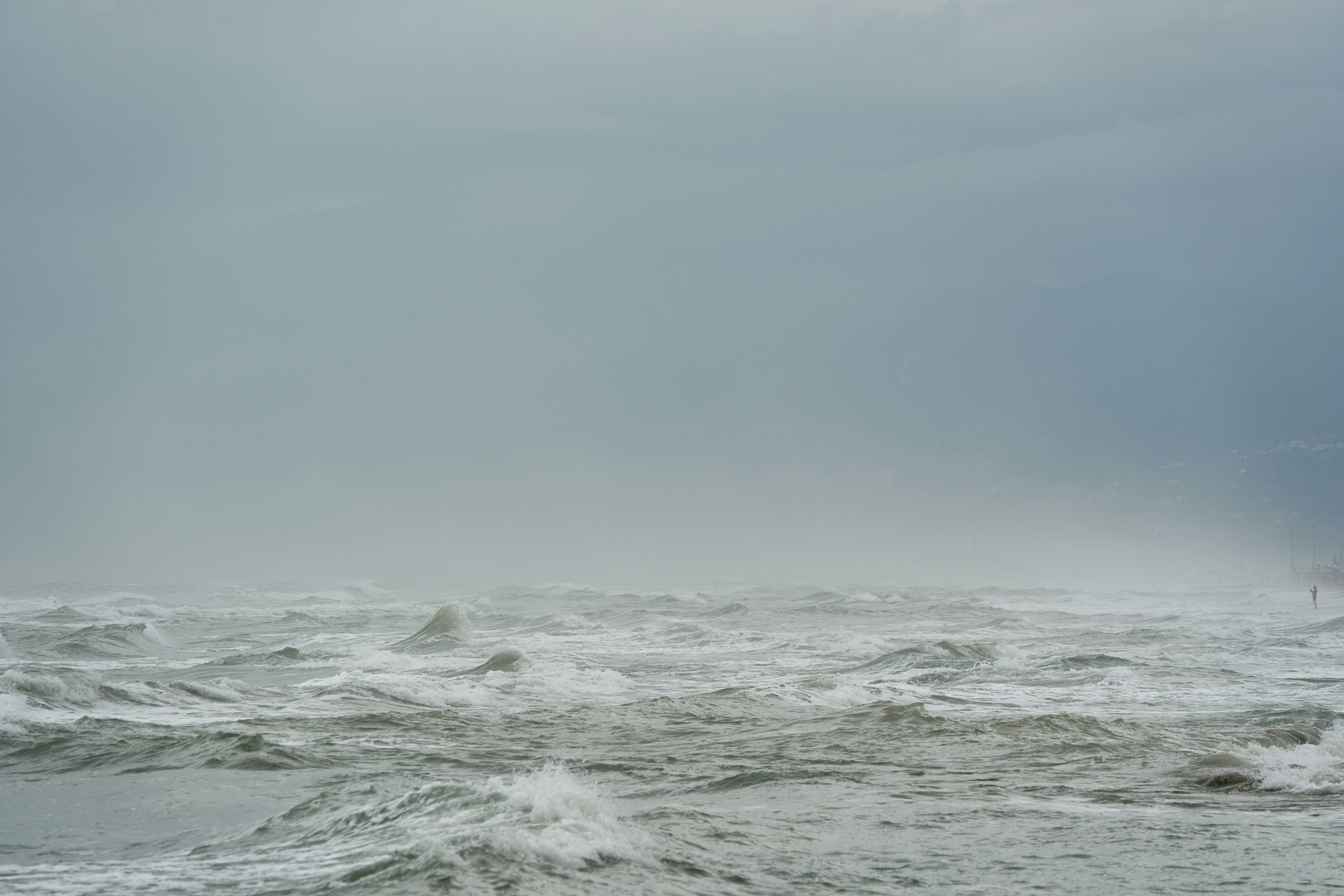 Photo by wolfgang_hasselmann