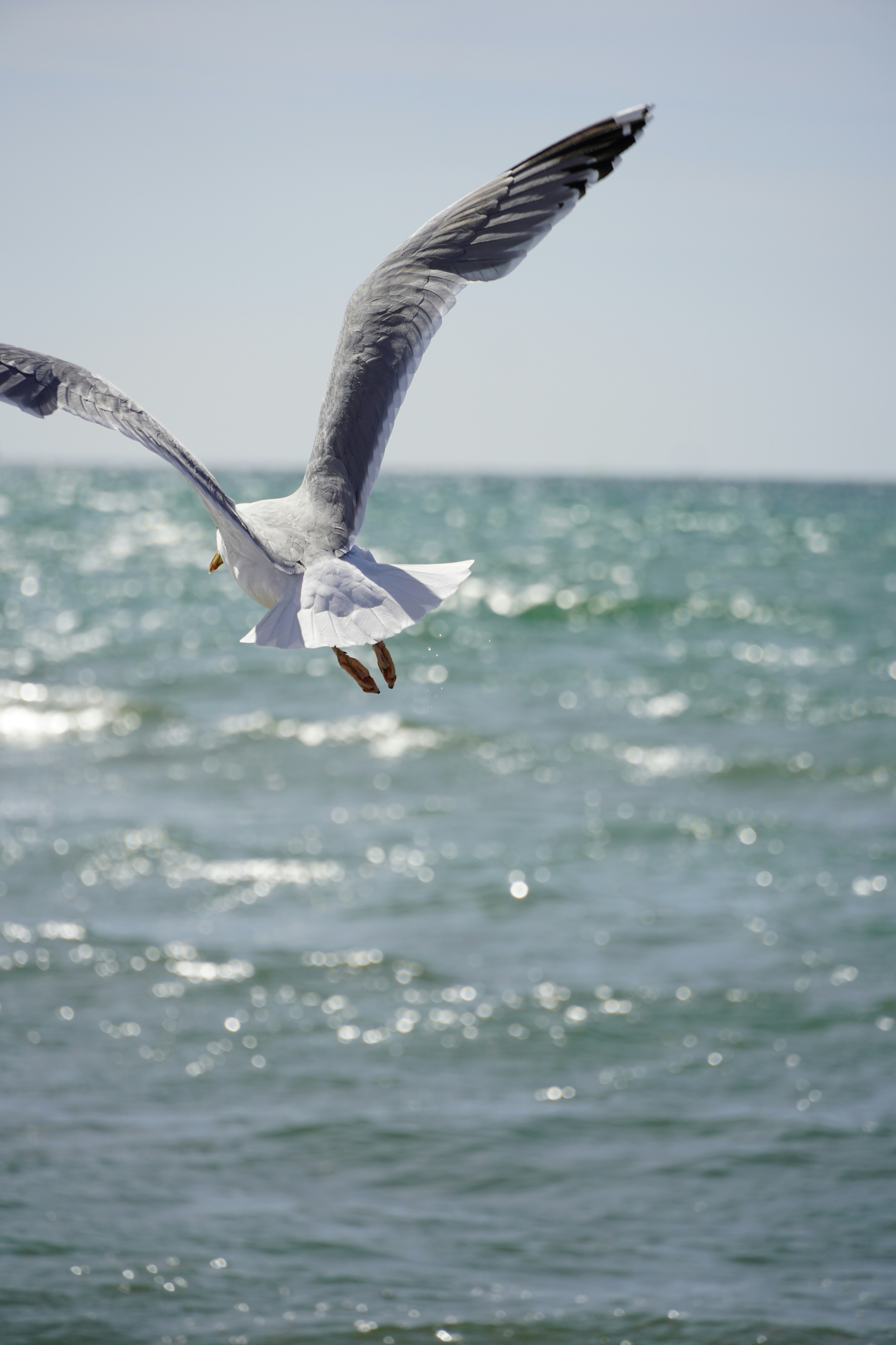 Photo by theodor_jacob