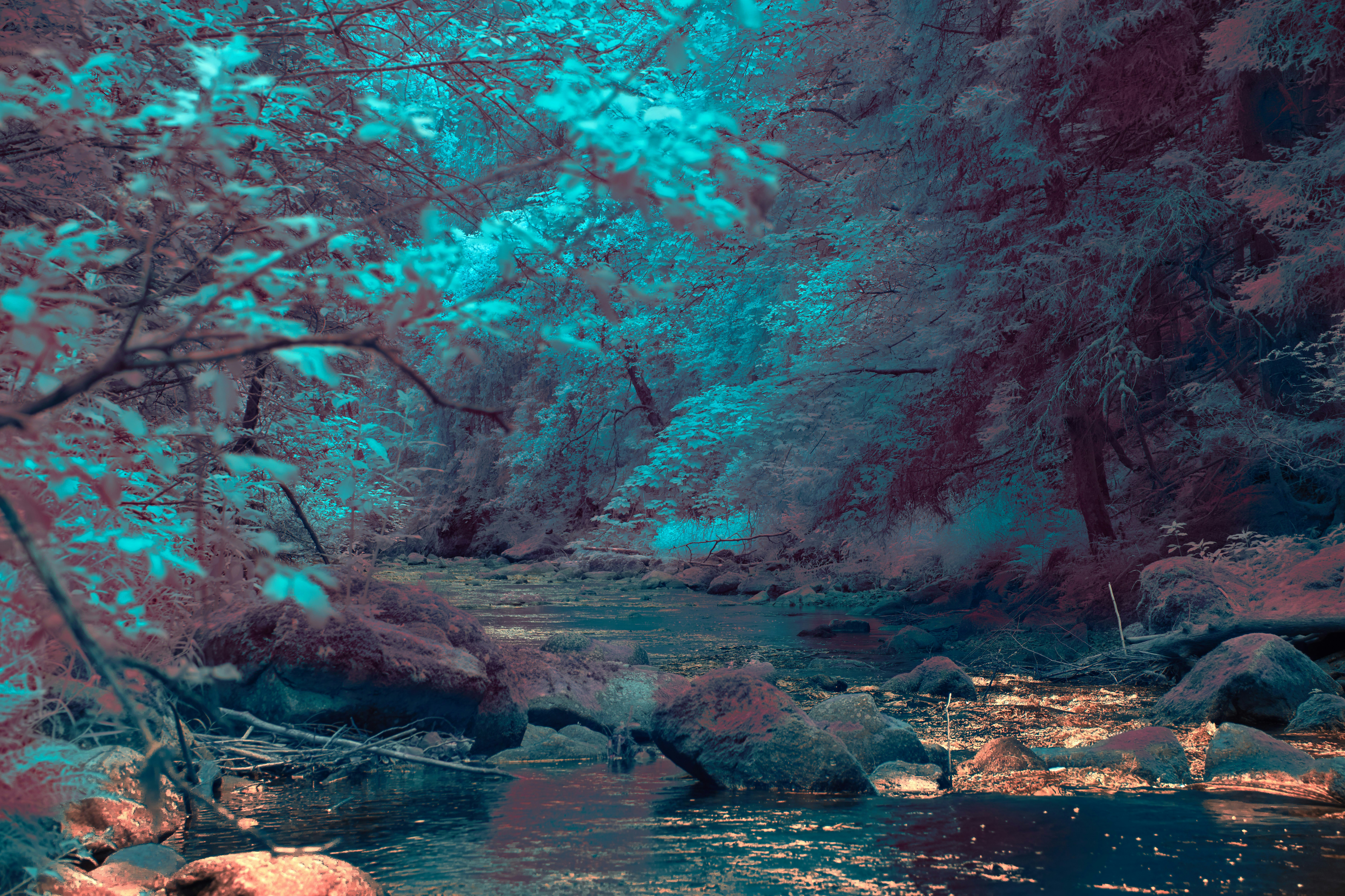 Photo by wolfgang_hasselmann