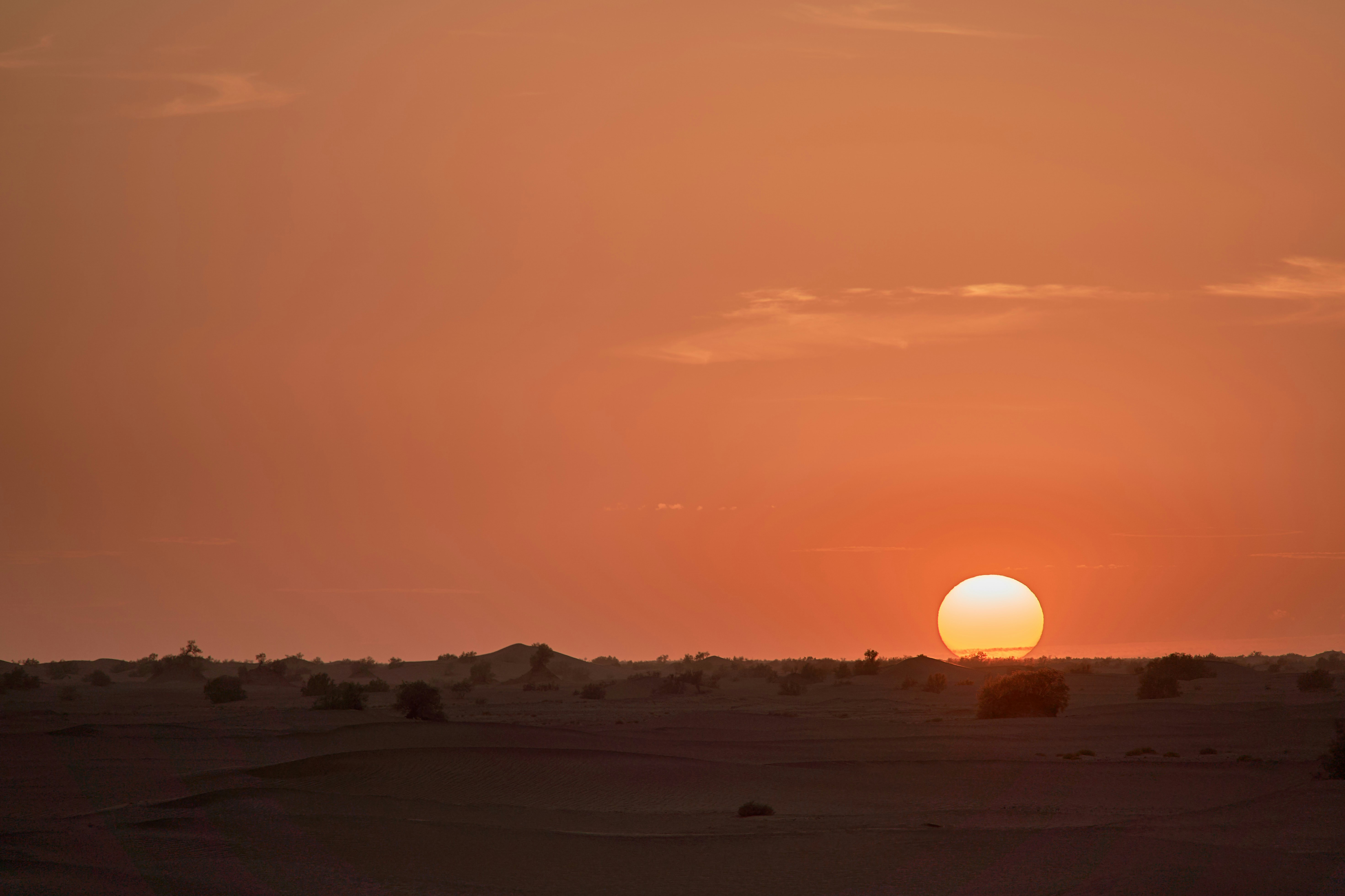 Photo by wolfgang_hasselmann