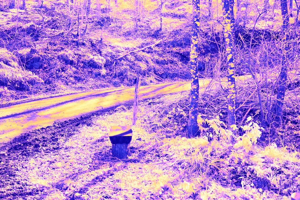 a bucket sitting on the side of a dirt road