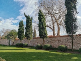 A row of tall, slender cypress trees stands in front of a stone wall topped with clay roofing tiles. The grass is well-manicured and green, with neatly trimmed bushes at the base of the trees. In the background, leafless trees stretch their branches towards a partly cloudy blue sky.