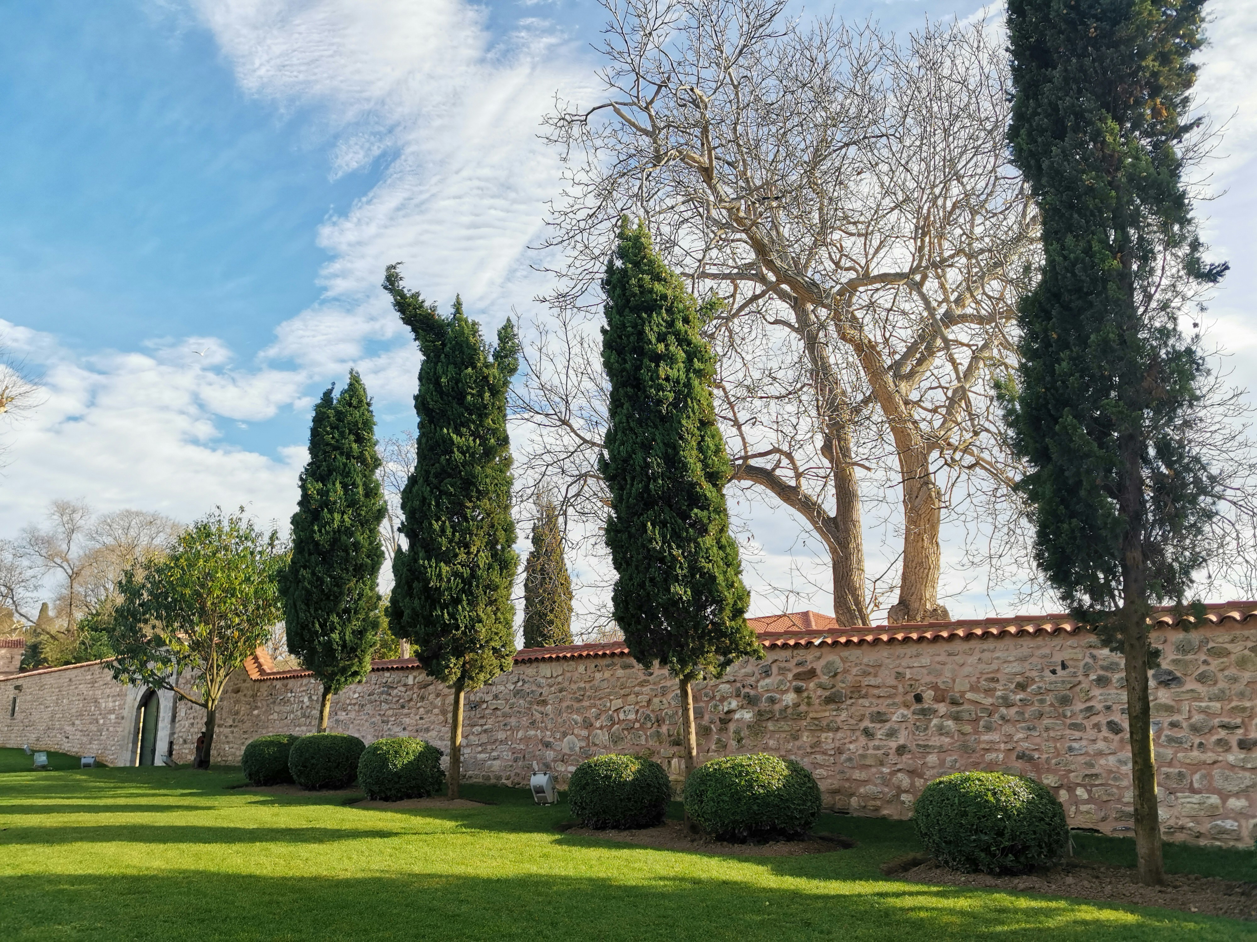 Photo by nataliaraylenegusakova