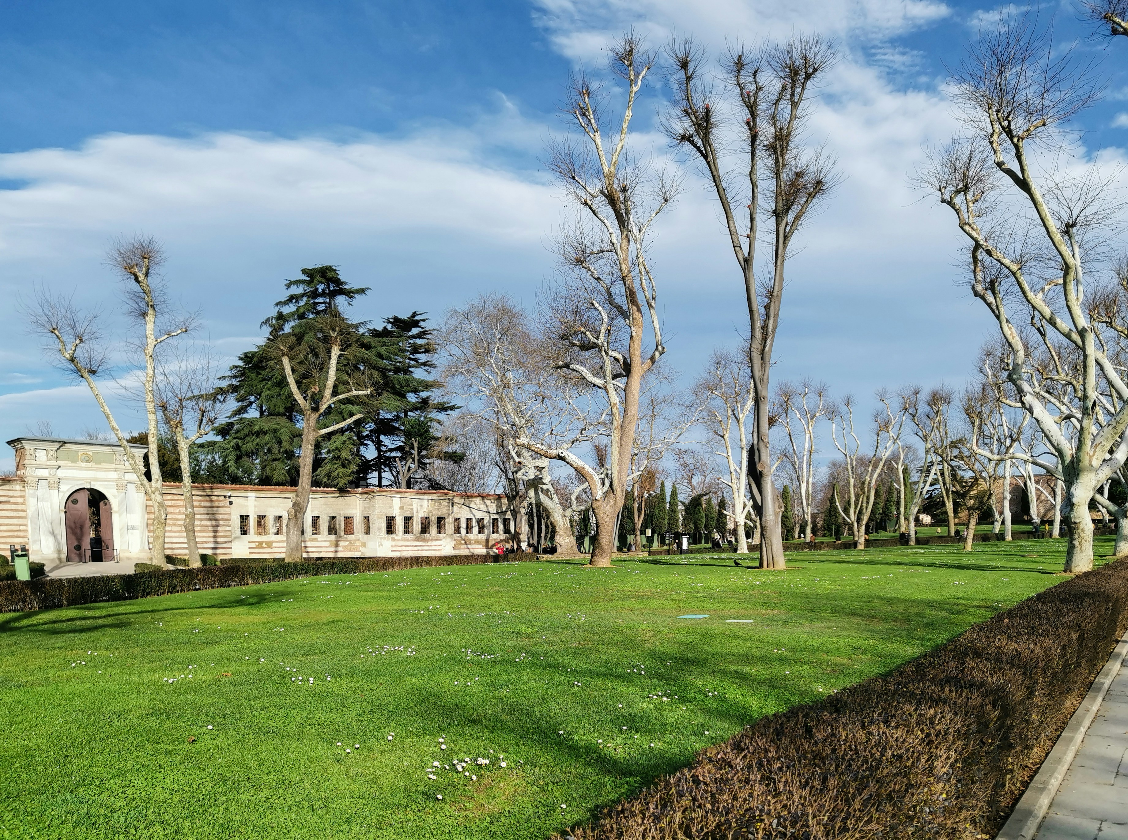 Photo by nataliaraylenegusakova