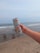 A hand holding a can of Celsius energy drink with 'Tropical Vibe' branding is positioned in the foreground against a beach backdrop. The sandy shore and gentle waves of the ocean create a relaxed seaside setting.