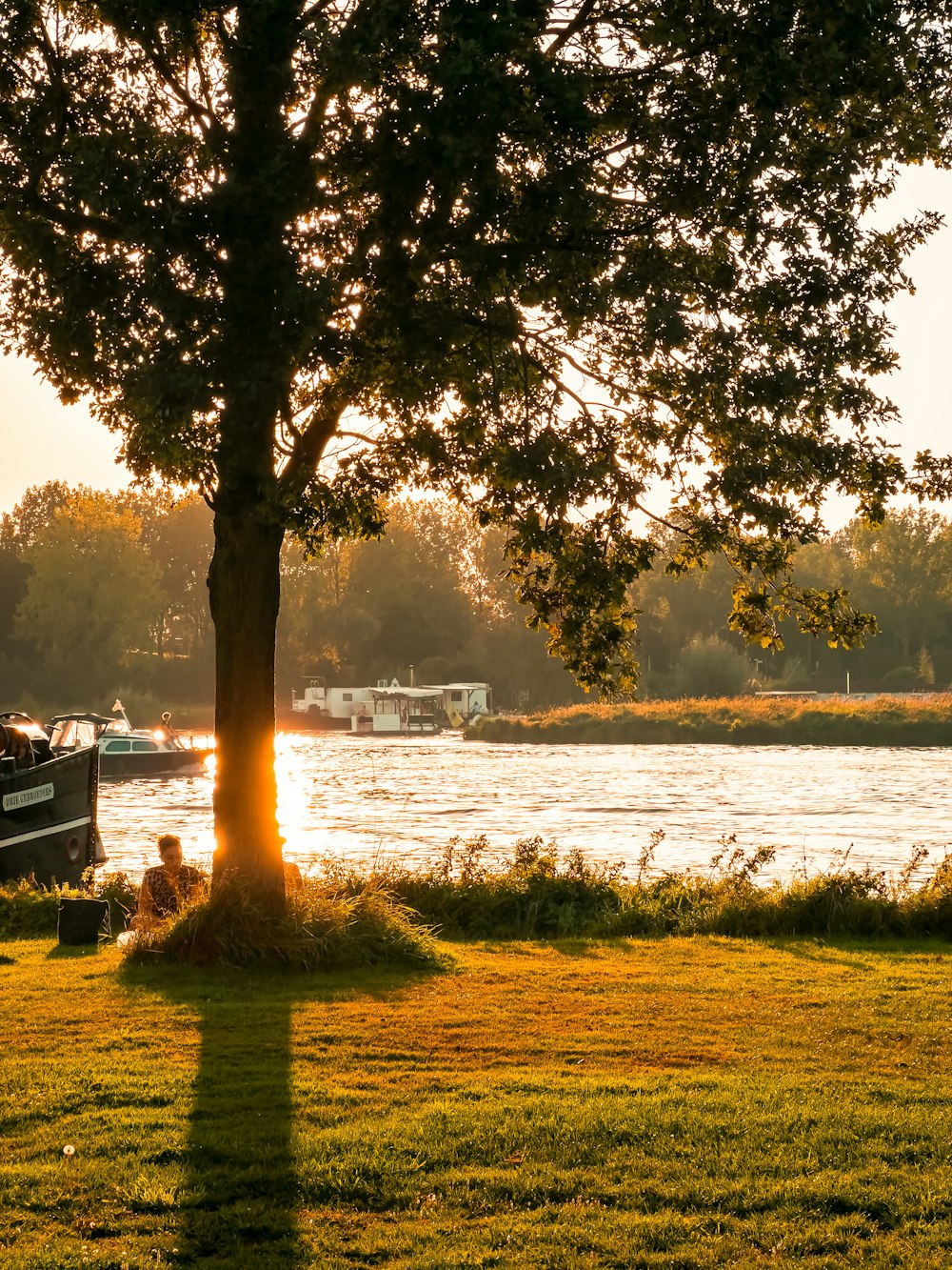 a group of people sitting on a bench under a tree