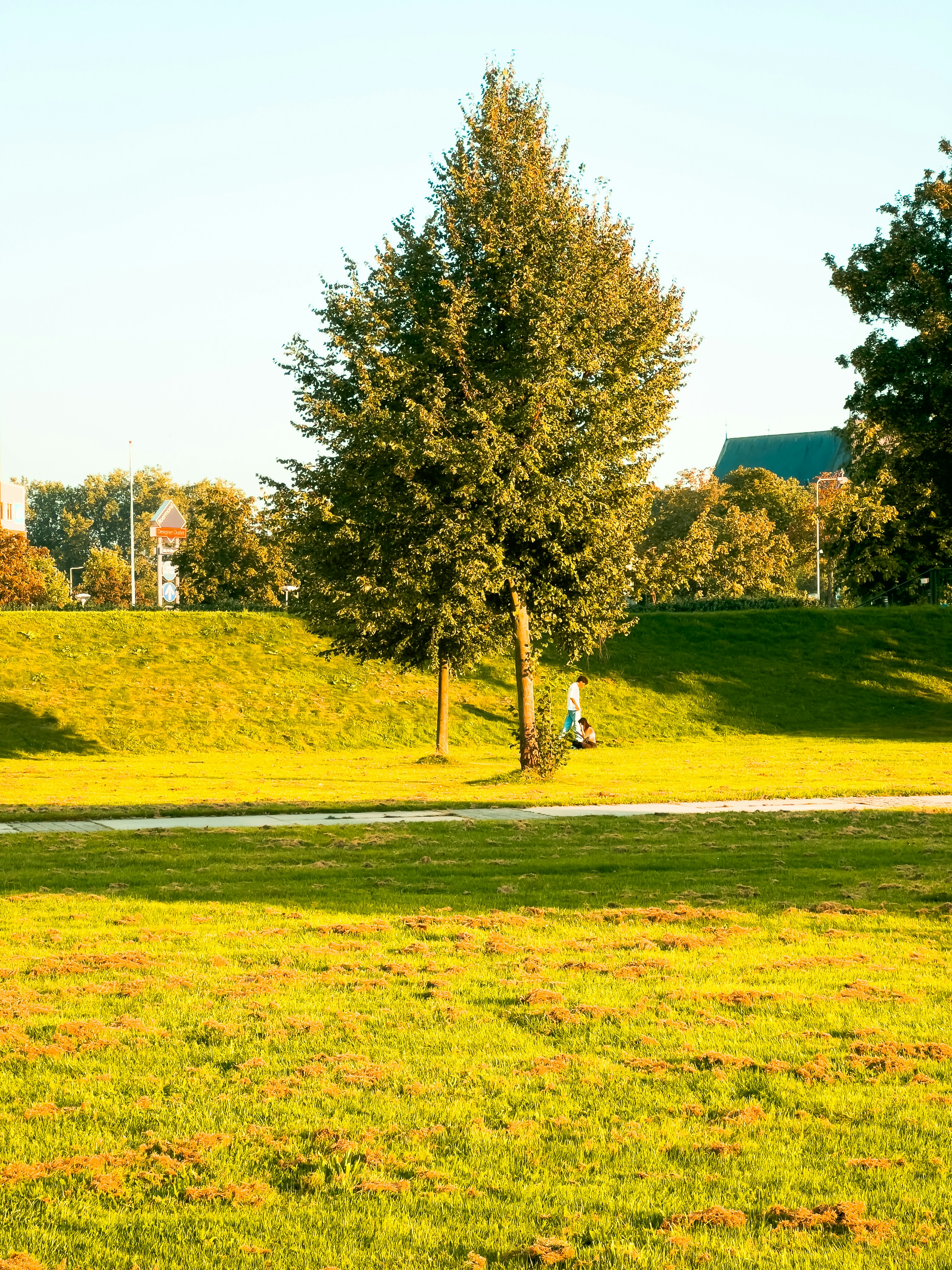 Photo by moonshotstudio