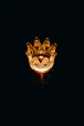 A golden crown emblem shining against a deep purple backdrop, symbolizing the Kingdom Party’s mission.