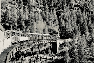 Black-and-white image of a rare early 1900s steam locomotive crossing a rural bridge.