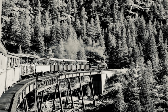 A vintage steam train crossing a high railway bridge, surrounded by dense forested hills with tall evergreen trees. The scene is in black and white, emphasizing the textures of the trees and the structure of the bridge.