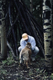 Volunteers gently rescuing a frightened dog from a forested area.