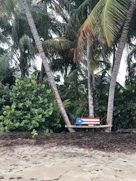 A beach scene featuring a sandy shore with palm trees in the background. Among the trees, a wooden bench displays the Puerto Rican flag with its distinctive red, white, and blue colors. The lush greenery of the palm fronds creates a tropical atmosphere.