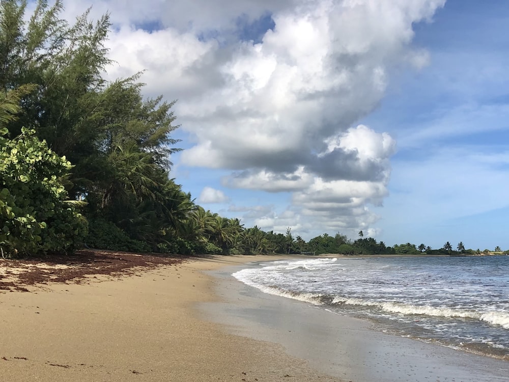 a sandy beach next to the ocean under a cloudy sky