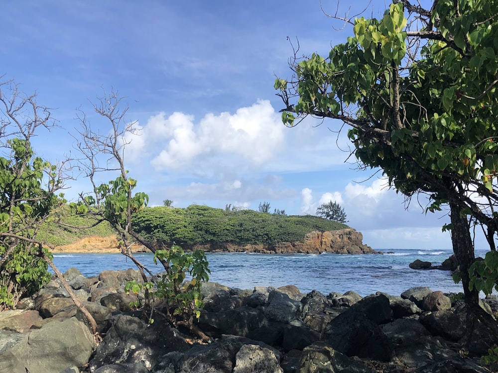 a view of the ocean from a rocky shore