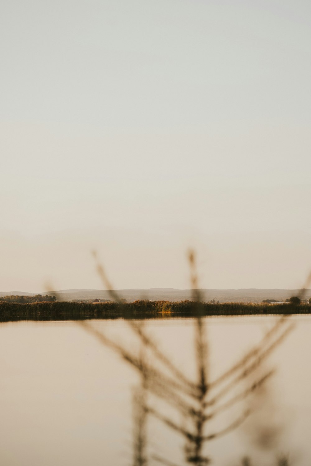 a bird flying over a body of water