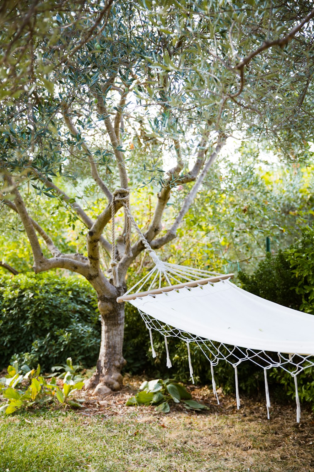 a white hammock hanging from a tree