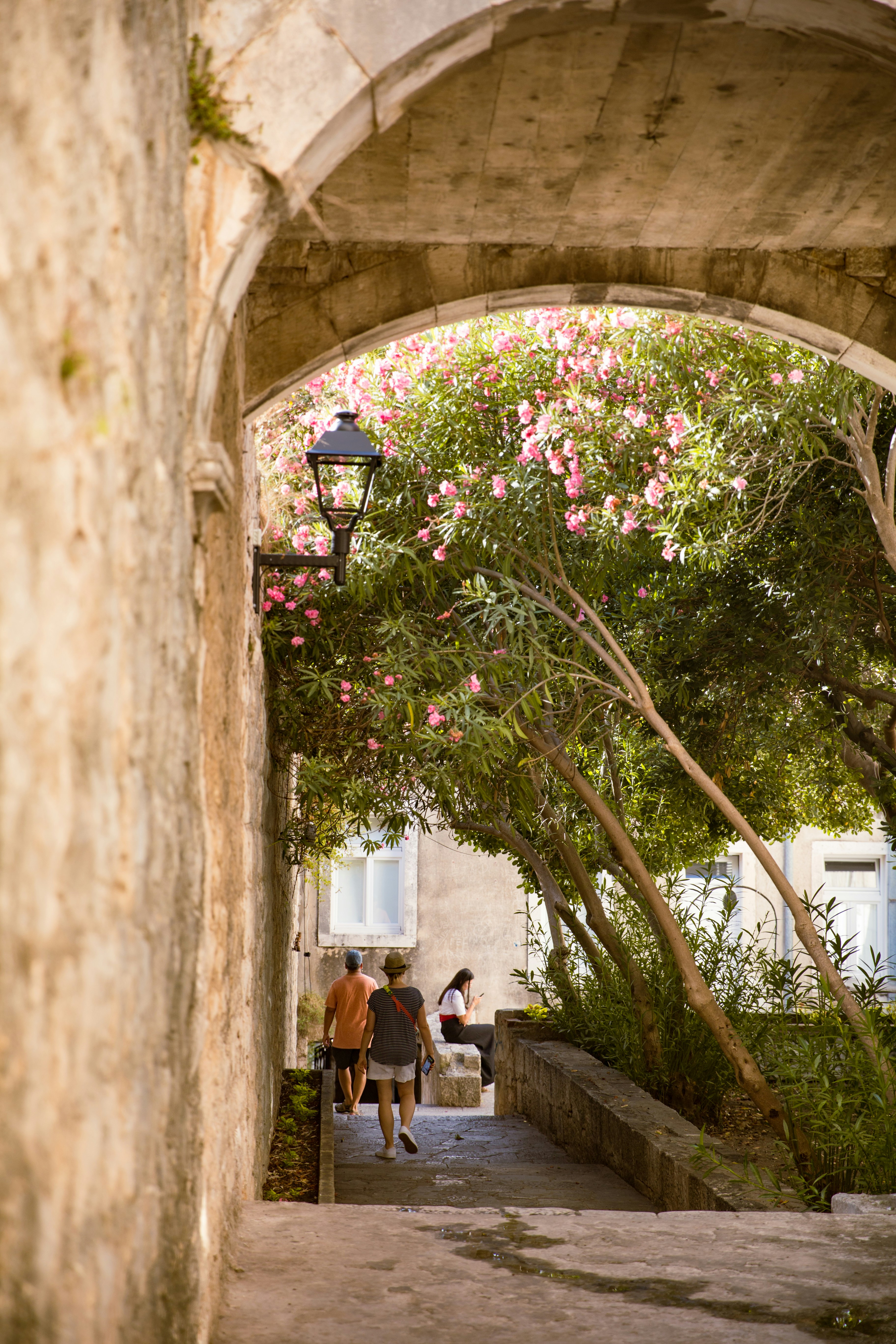 Korčula travel photo