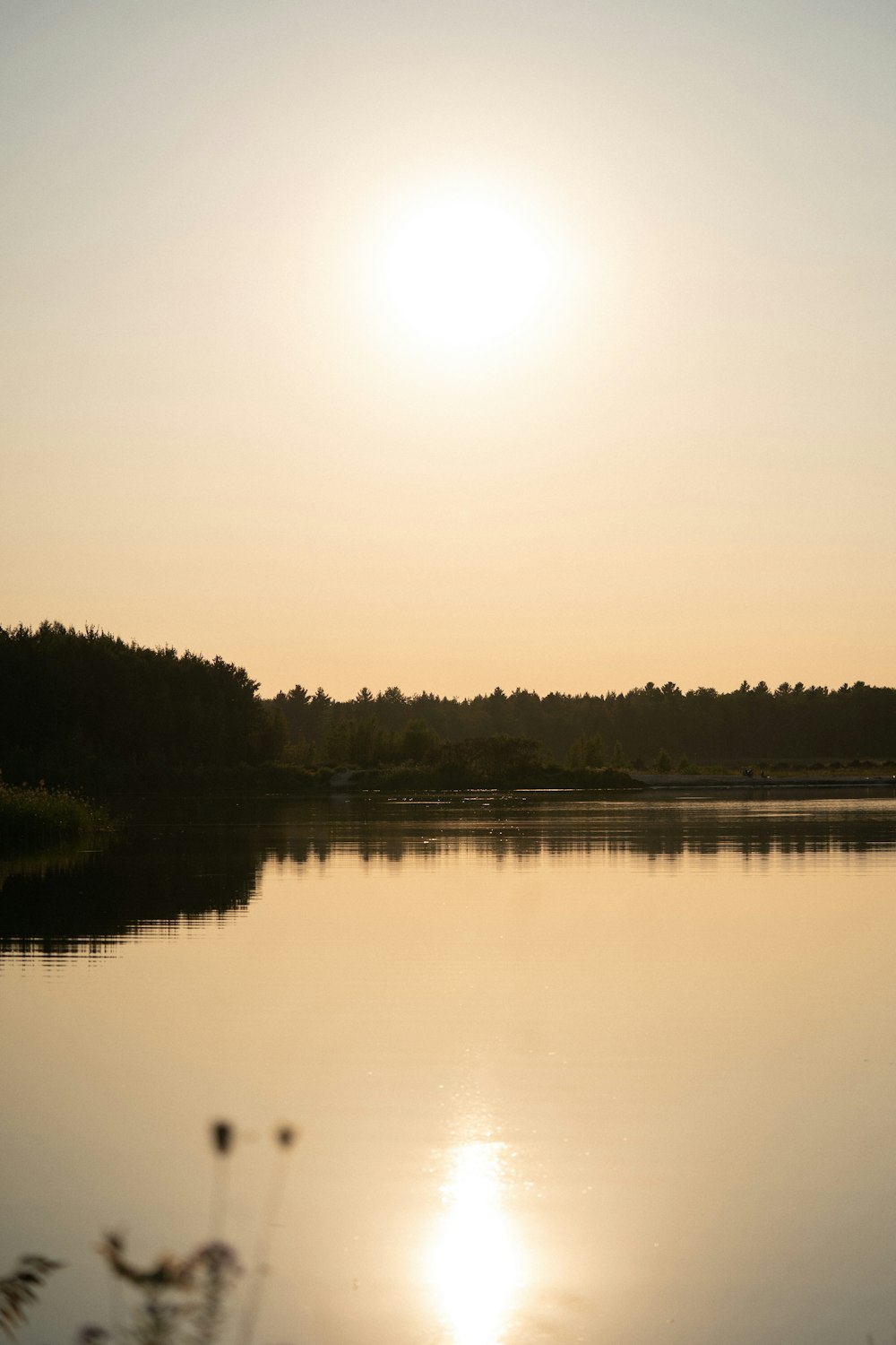 the sun is setting over a lake with trees in the background