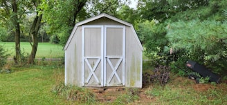 A small, weathered wooden shed with white trim sits in a lush, green garden surrounded by tall trees and overgrown bushes. The structure has double doors with a rustic appearance and is partly covered with moss at the bottom. A wheelbarrow rests nearby among the foliage.