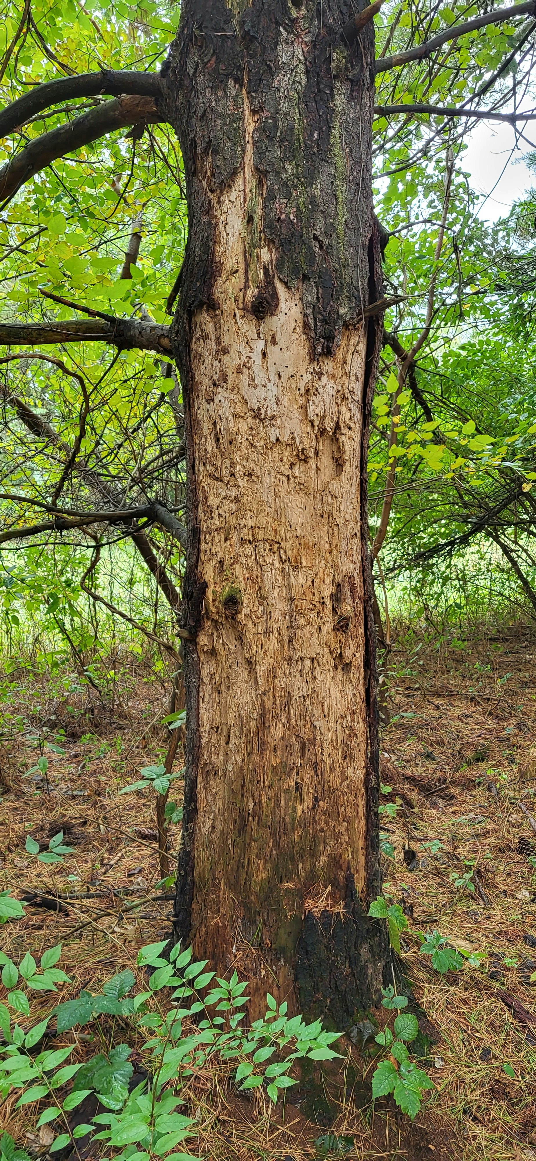 Photo by standerimages