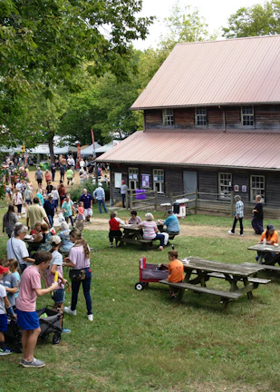 A community health fair with families engaging in wellness activities outdoors.