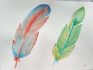 Silent Feather