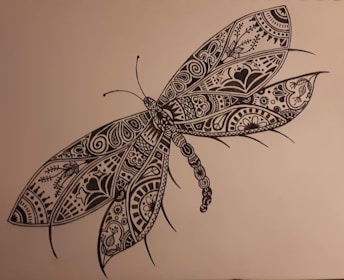 A scientific illustration of various dragonfly species supported by the Dragonfly Fund.