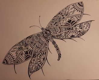 A scientific illustration of various dragonfly species supported by the Dragonfly Fund.