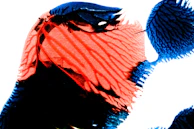 Album cover art for Kentenfromlucca 3, featuring abstract colorful waves.