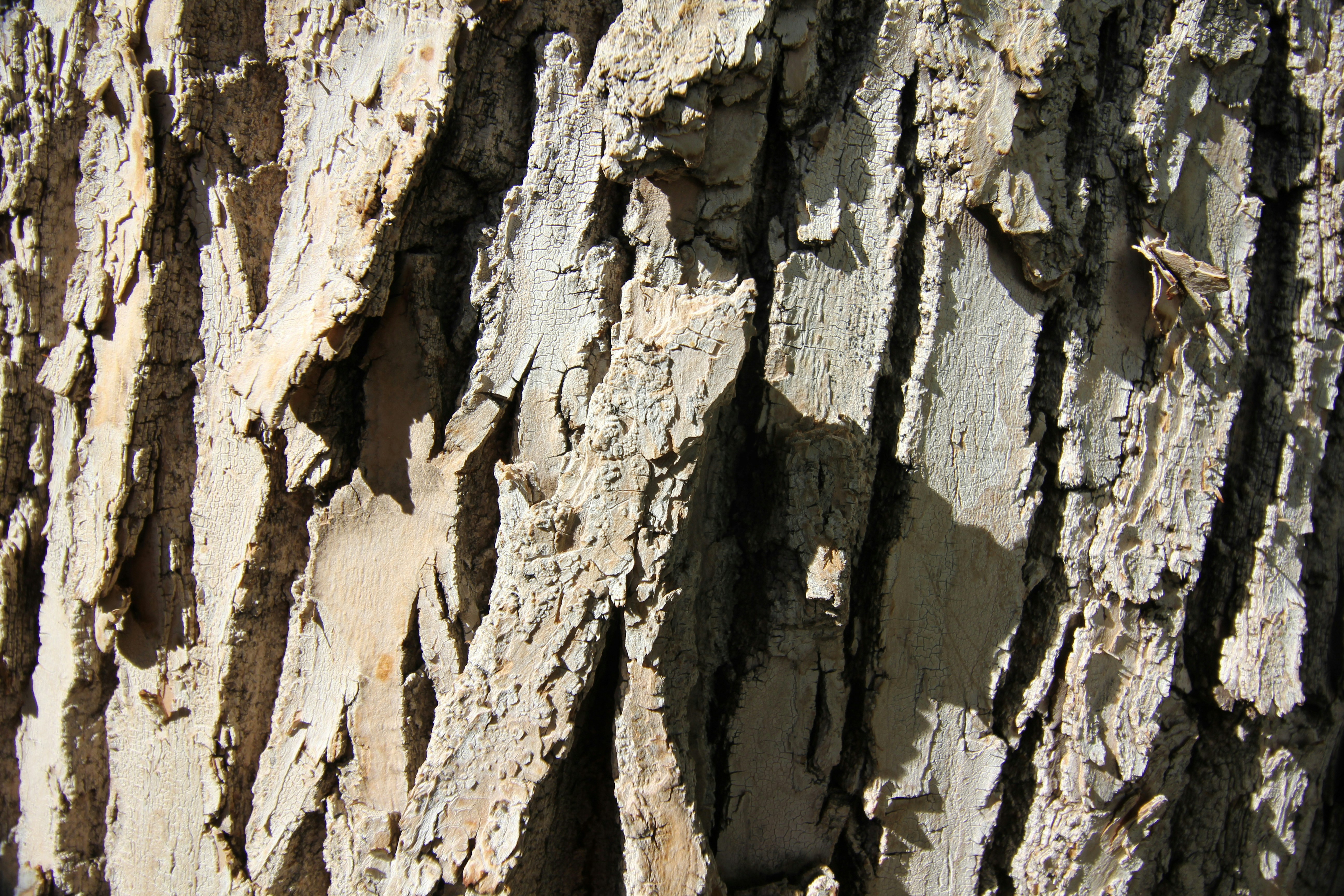 Photo by judy_beth_morris_idaho