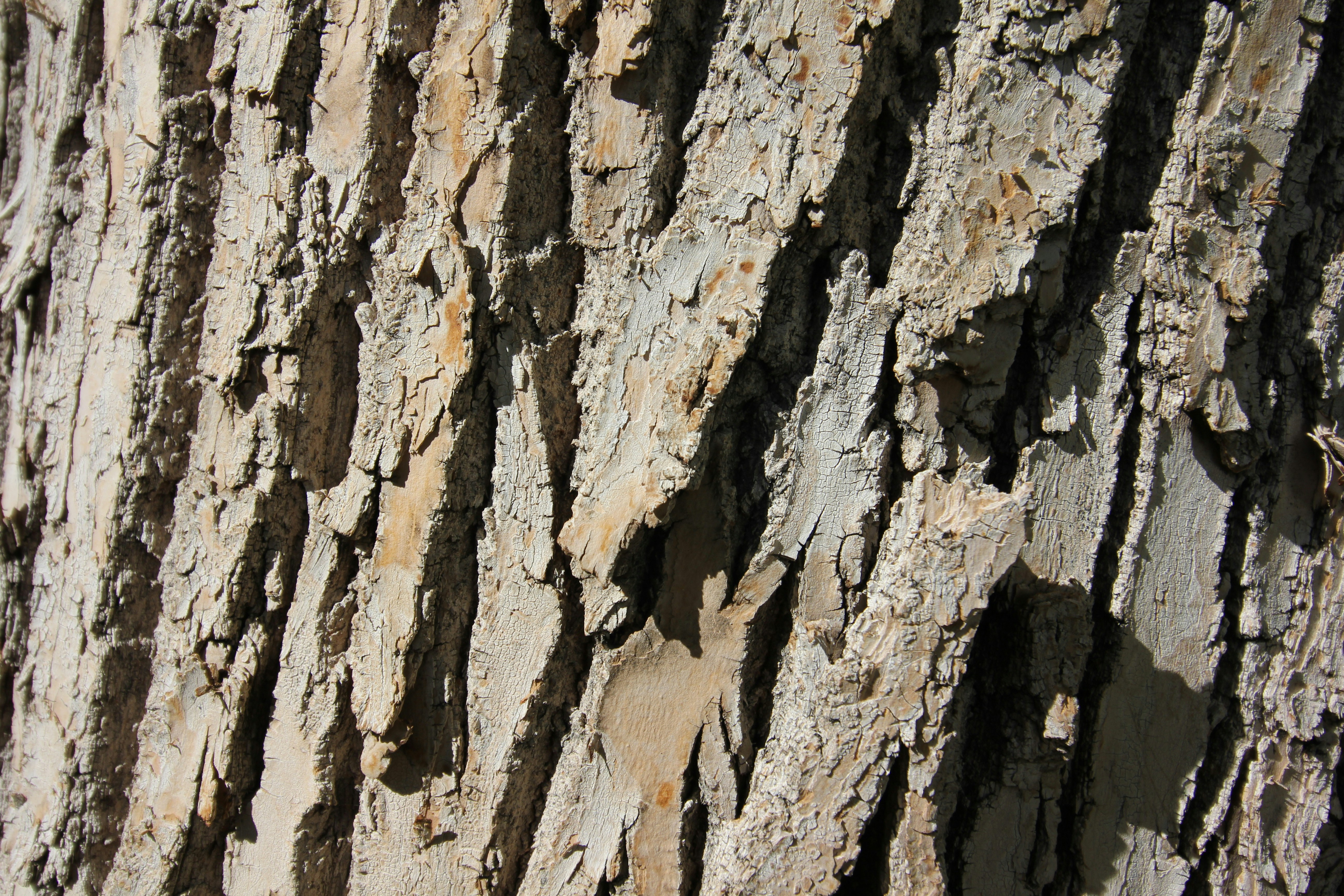 Photo by judy_beth_morris_idaho