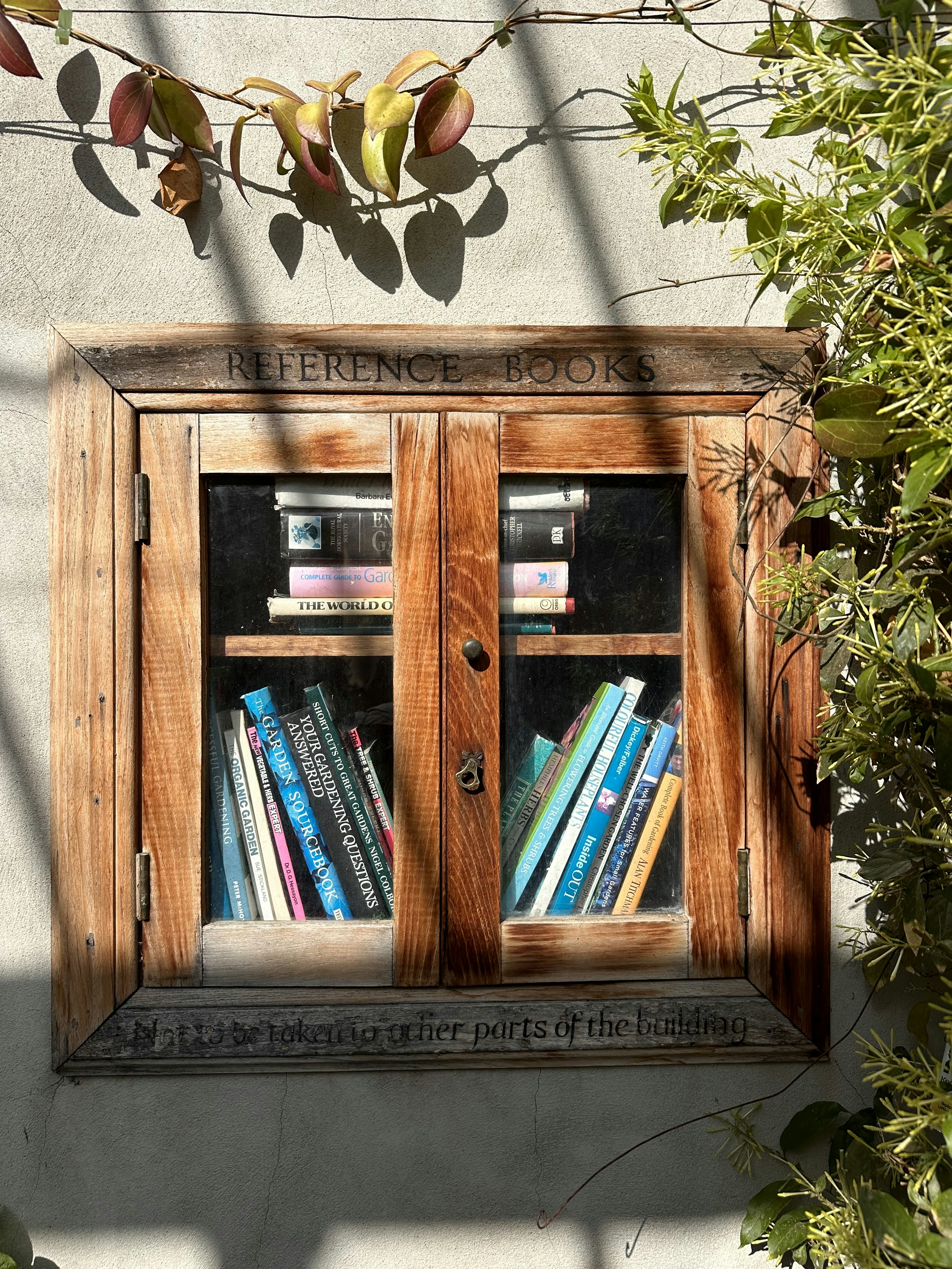 Photo by 13_delendrea_23