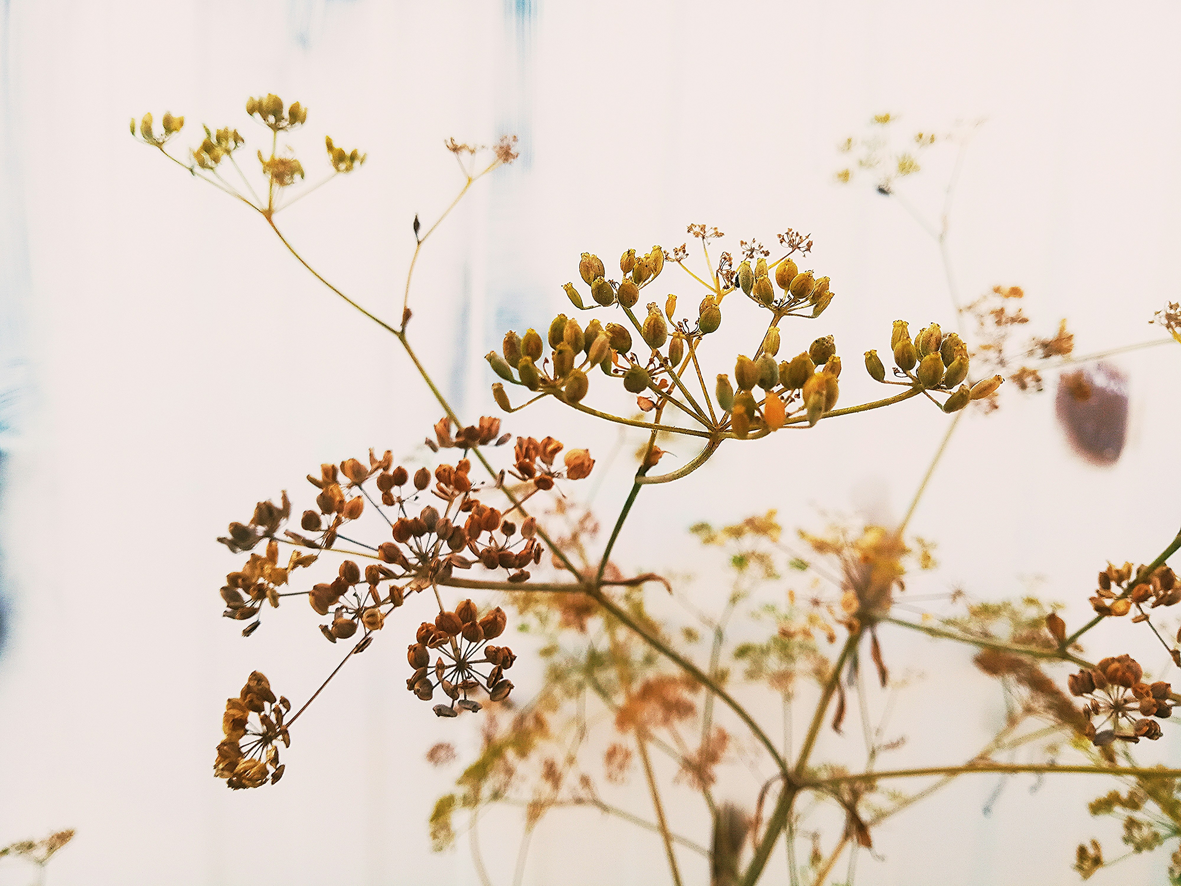 Photo by dmitry_burdakov