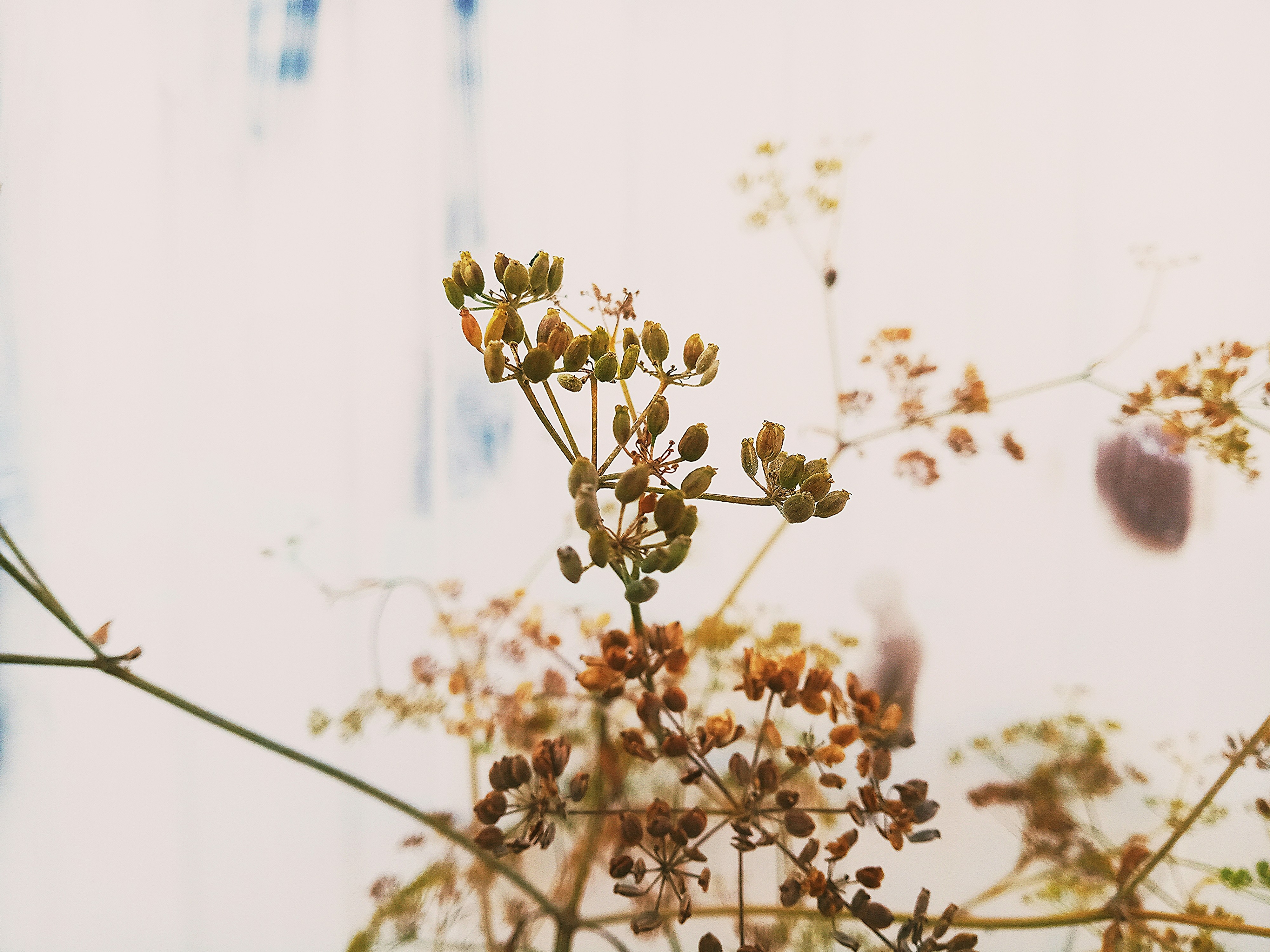 Photo by dmitry_burdakov