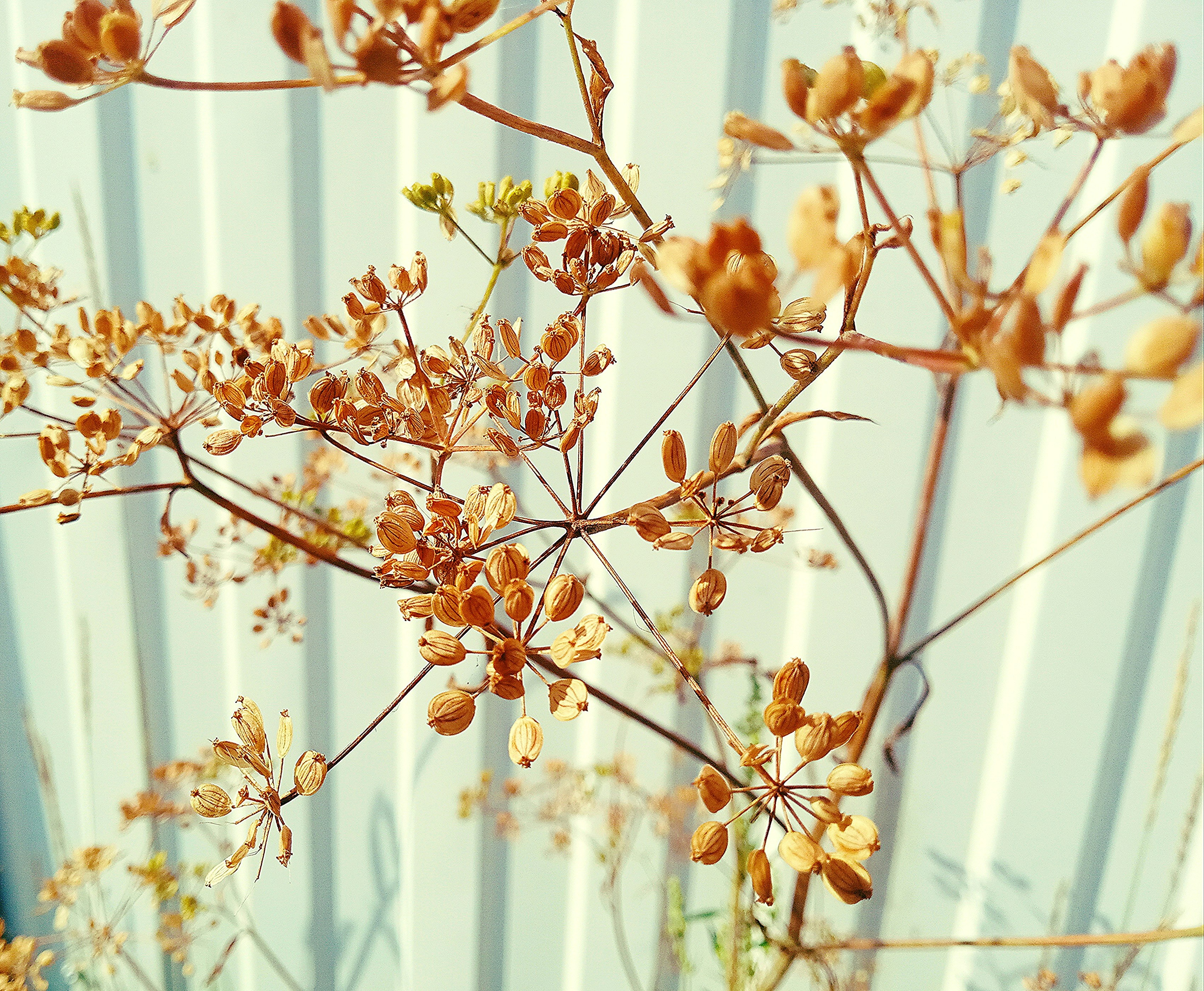 Photo by dmitry_burdakov