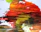 Close-up of a vibrant abstract painting hanging in a modern art gallery.