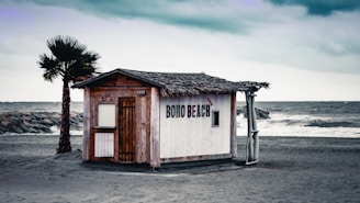 A small wooden beach shack with a thatched roof is positioned on a sandy beach. The words 'BOHO BEACH' are painted on its side. A single palm tree stands beside the shack, with the ocean visible in the background under a cloudy sky. Waves gently crash against the rocks lining the shore.